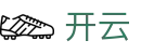开云(KaiYun)官方平台 - 手机版在线登录